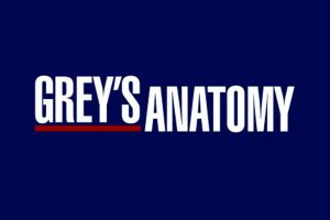Entrer en contact avec la série Grey’s Anatomy