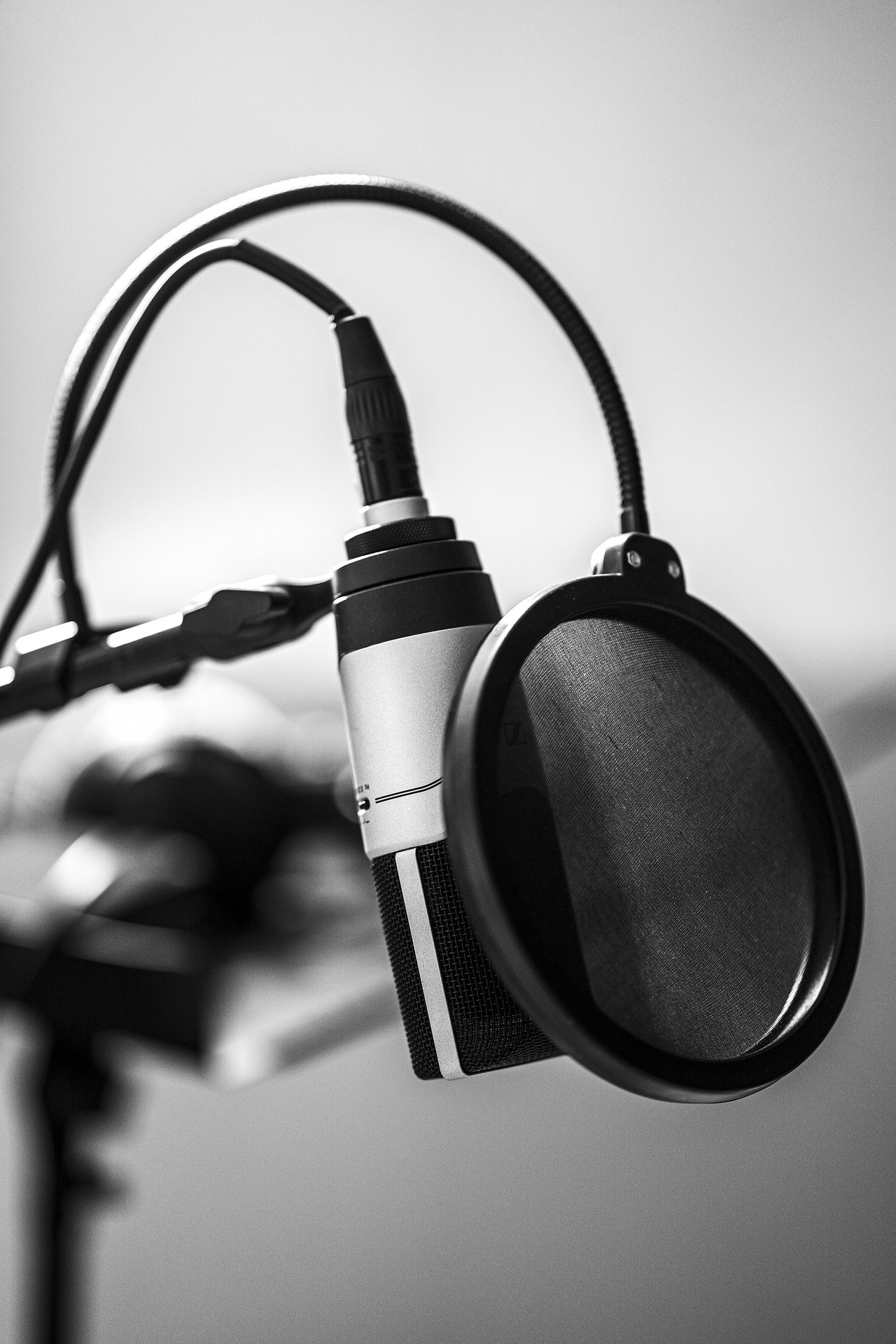 contacter Vincent Veillon