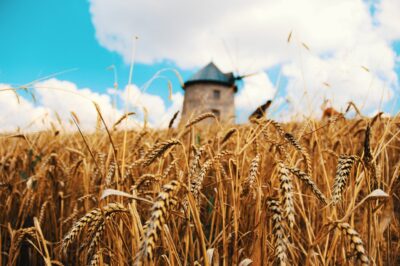 Joindre le service client pour avoir les informations des acteurs essentiels du marché des produits écologiques et durables en 2025 en Suisse